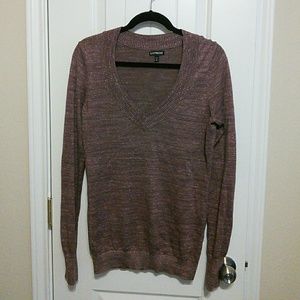 Express V-Neck Sweater